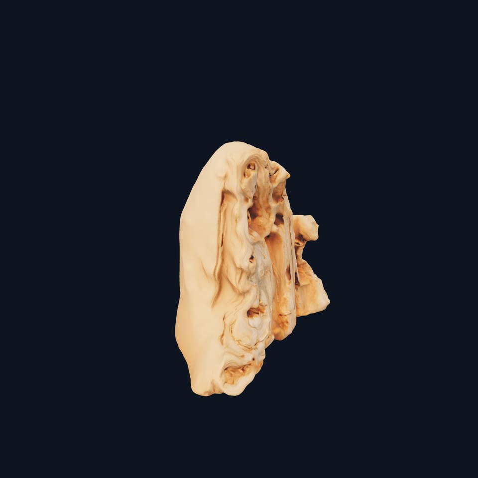 Natural Driftwood Rock model pack